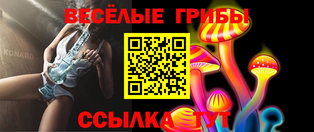 Реж  Галлюциногенные грибы Cubensis  Вход с VPN  Галлюциногенные грибы Cubensis 
